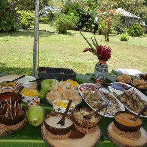 Farm to Table Experience