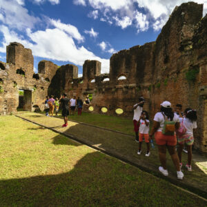 5 Island & Town Hopping Tour